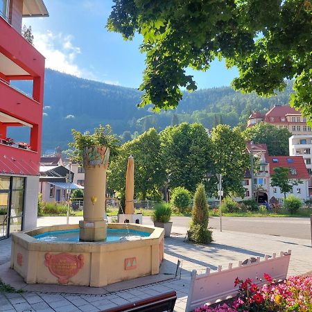 Apartement Am Waldrand Бад-Вильдбад Экстерьер фото